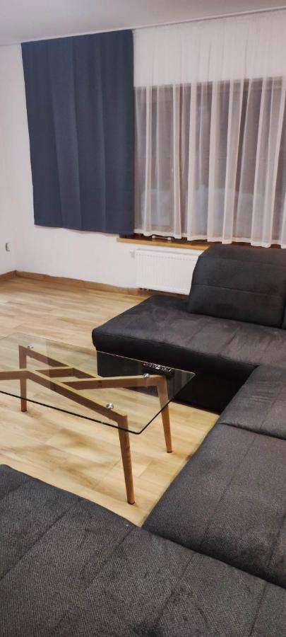 Villa U Skupniow Suche-Zakopane Poronin Dış mekan fotoğraf